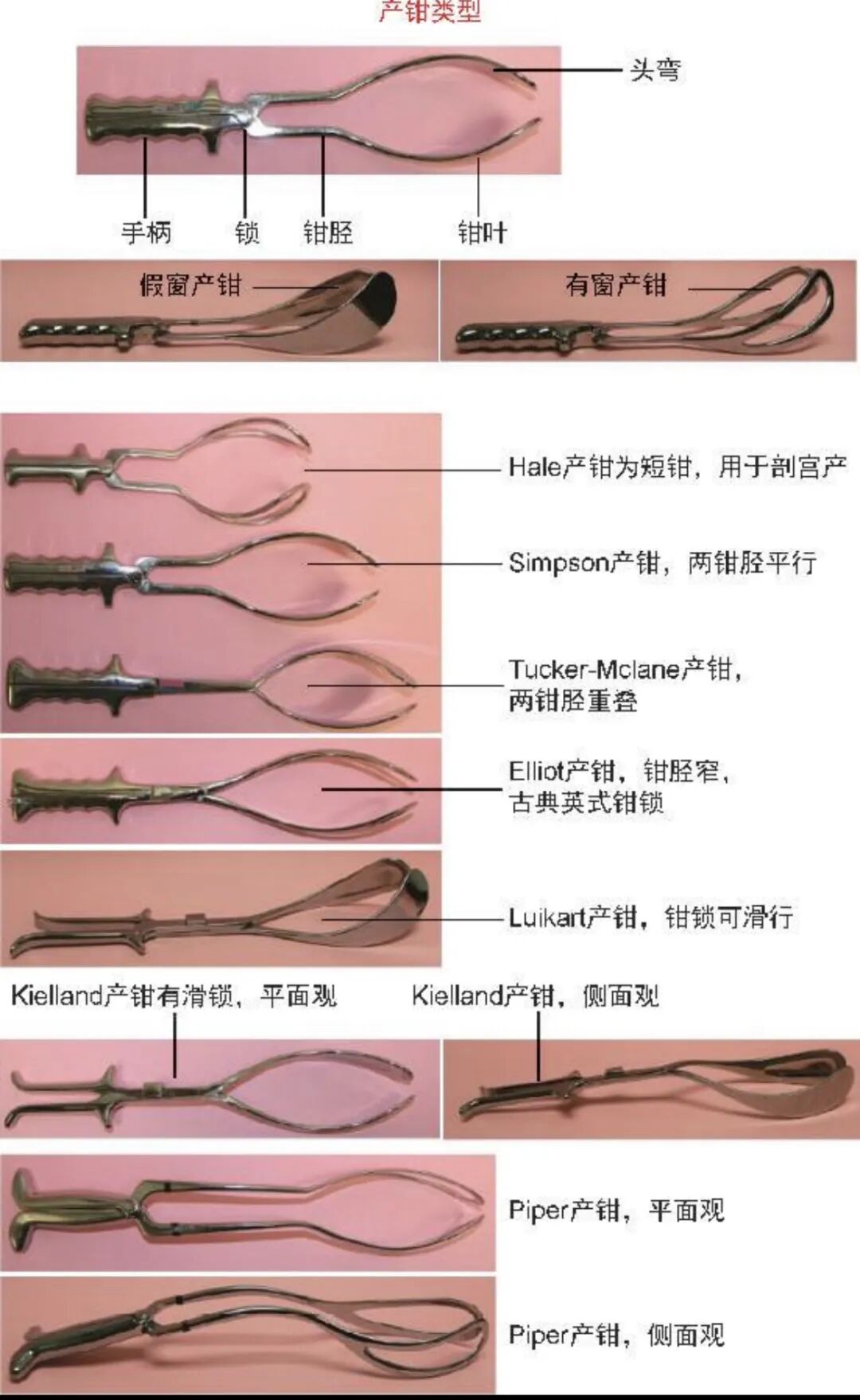 kielland产钳怎么翻译阴道助产前的全面评估与方法_https://www.jmylbn.com_新闻资讯_第4张