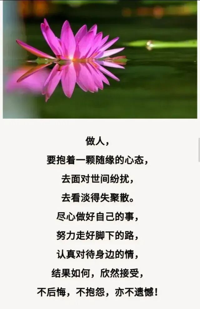 凡事看淡,一切随缘-旺易创业