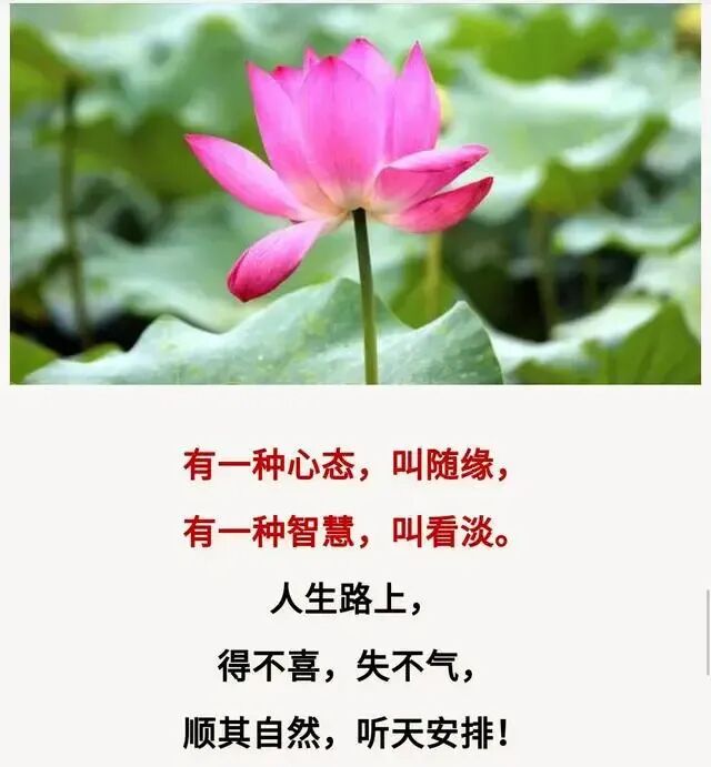 凡事要看淡,人生才平常,看开,看透一些,得失是常态.