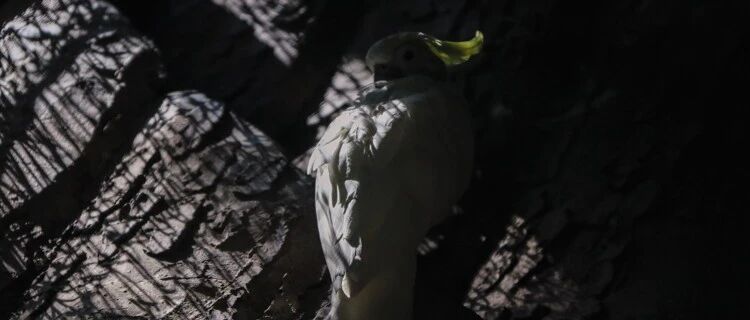 一个人靠不靠谱，就看这四点！