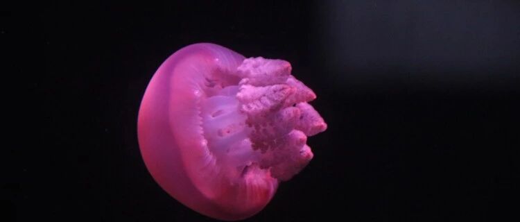 一个人走上坡路的5个建议