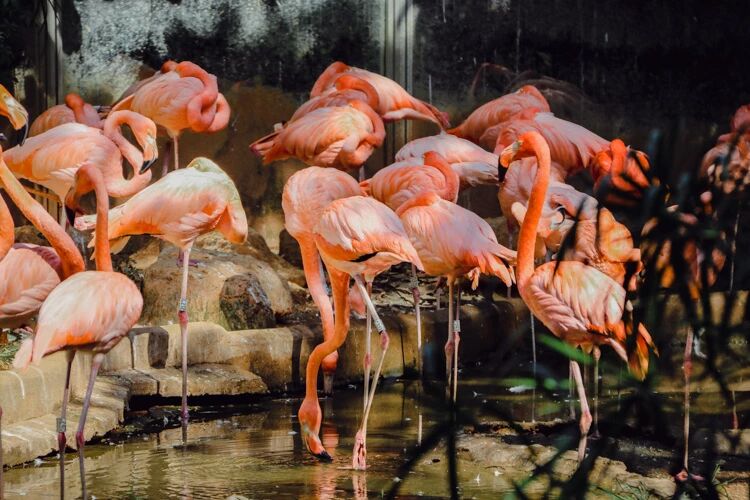 真正的社交达人，都知道这6种技巧