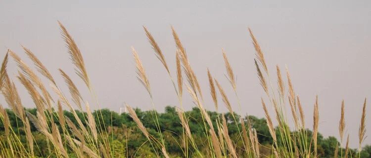 年入三亿，被称为打工皇帝，没有他，腾讯可能真的不行