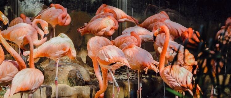 富二代销售月薪10万的秘诀：花其他人不敢花的400元。