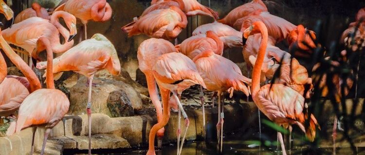 所谓成长，就是不断破局