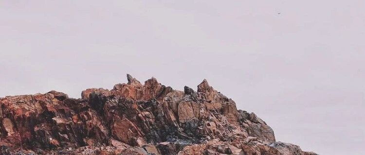 为什么很多人不读书，一样当老板挣大钱？答案震撼了