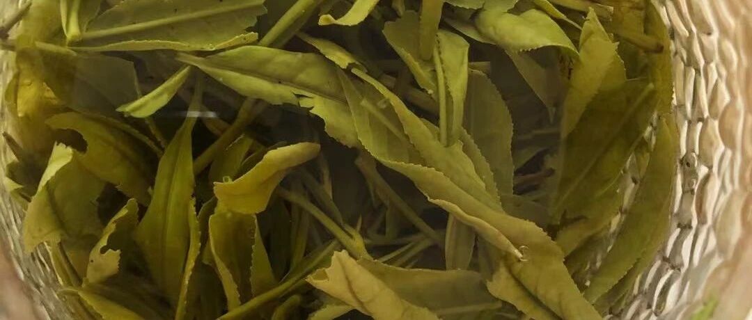 用茶叶水喂药，真的可以降低药性吗？