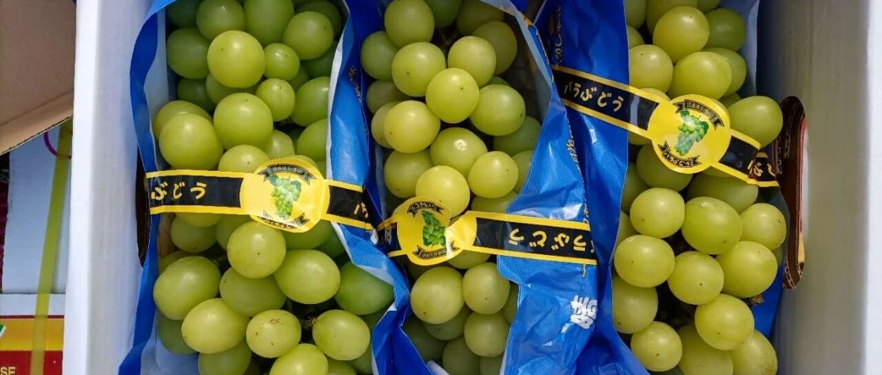 高血糖吃哪种水果比较合适？
高血糖吃哪种水果比较合适？