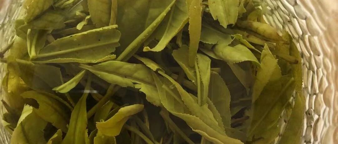 绿茶和红茶，哪个更适合血压高的人喝？