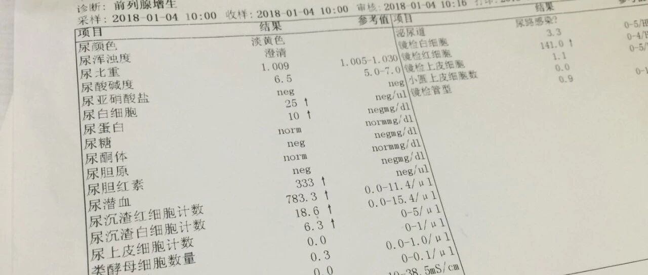 尿潜血阳性与血尿是不是一回事？