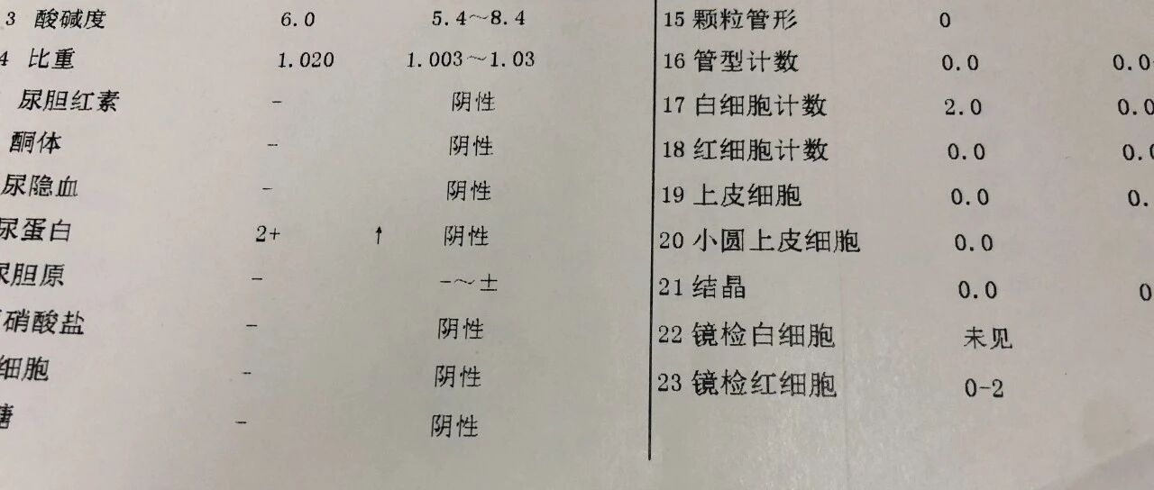 检测哪些指标可以发现肾脏的早期损害？
