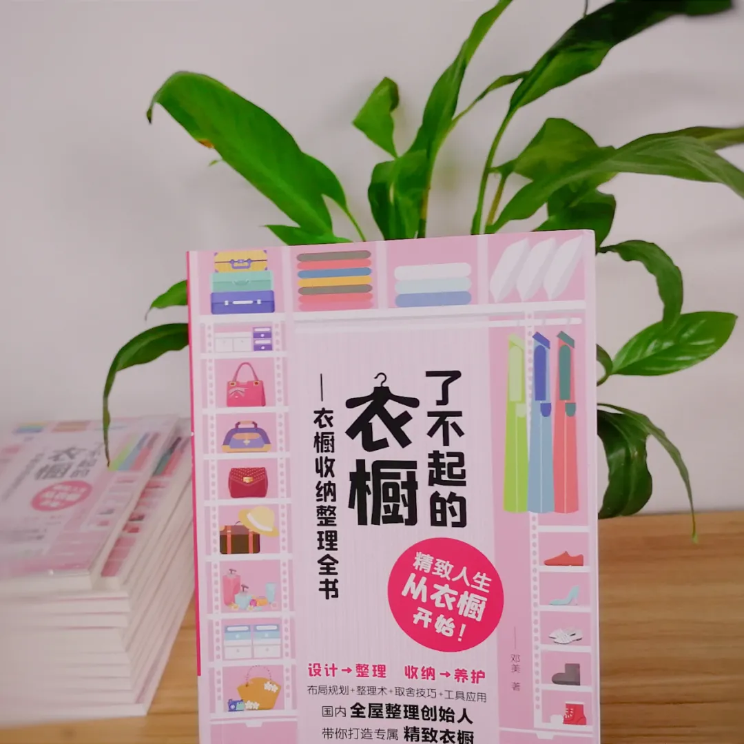 收纳整理师 收纳整理师