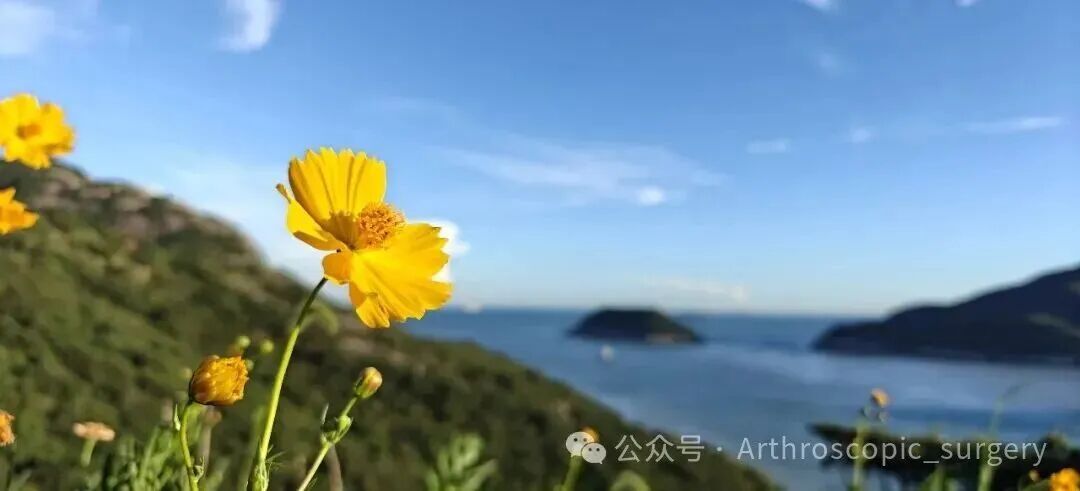 【新年碎碎念】想成为一名优秀的骨科医生？别急着上台手术！