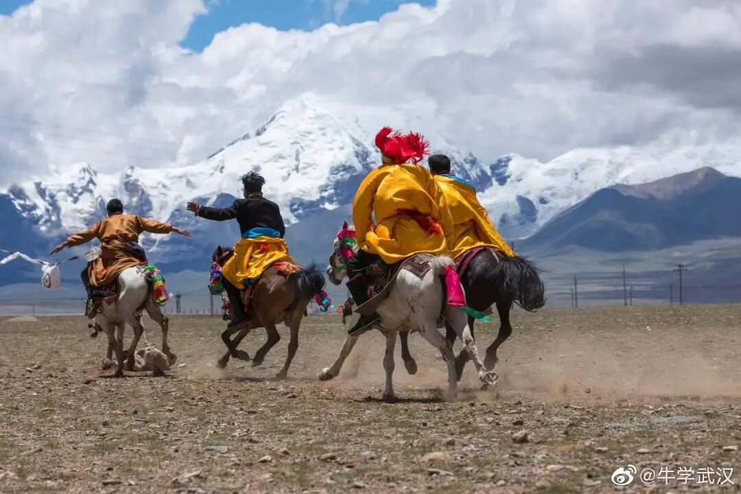 IMG_7988 亚东赛马.JPG