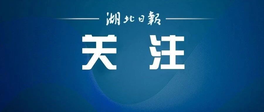 知名演员王斑,履新职