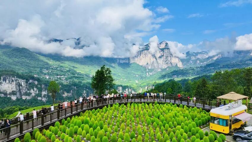 国家级称号！十堰在列