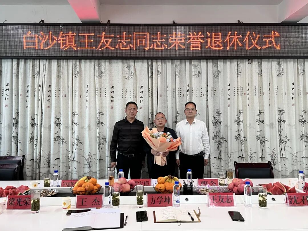 组织(宣传,统战)委员王杰宣读了王友志同志退休文件,镇党委书记谭安模