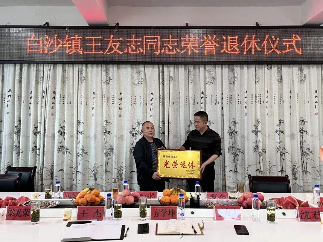 组织(宣传,统战)委员王杰宣读了王友志同志退休文件,镇党委书记谭安模