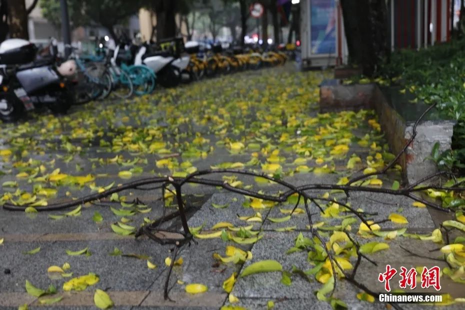 广东福建大暴雨冰雹齐发