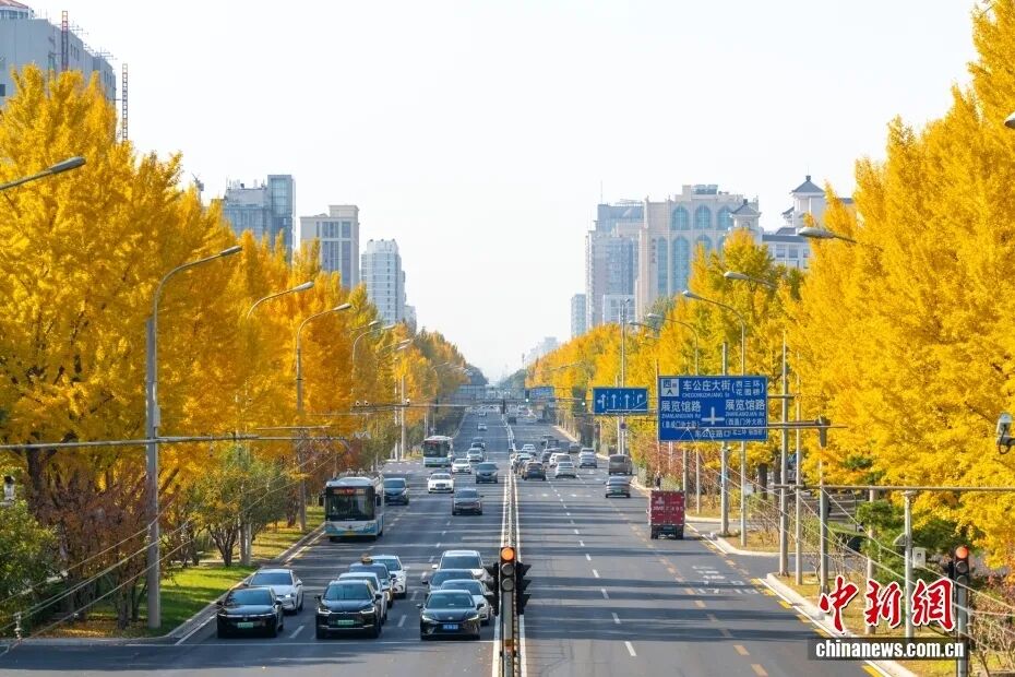 【这个城市有点潮】北京：切换高饱和模式 与斑斓秋色撞个满怀