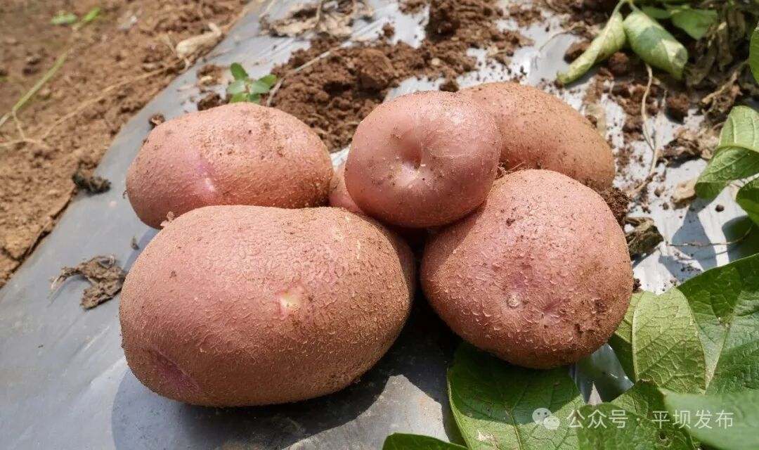 ""