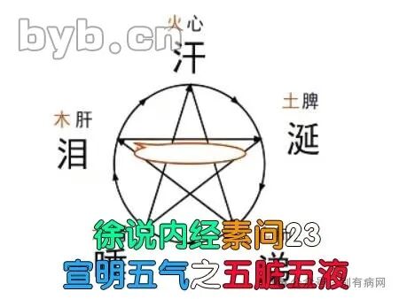 为什么心是钩脉徐说内经素问23宣明五气之五脏五液_https://www.jmylbn.com_新闻资讯_第1张