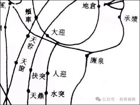 为什么心是钩脉徐说内经素问07阴阳别论之有胃气生_https://www.jmylbn.com_新闻资讯_第2张