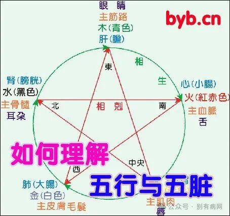 为什么心是钩脉徐说内经素问07阴阳别论之有胃气生_https://www.jmylbn.com_新闻资讯_第4张