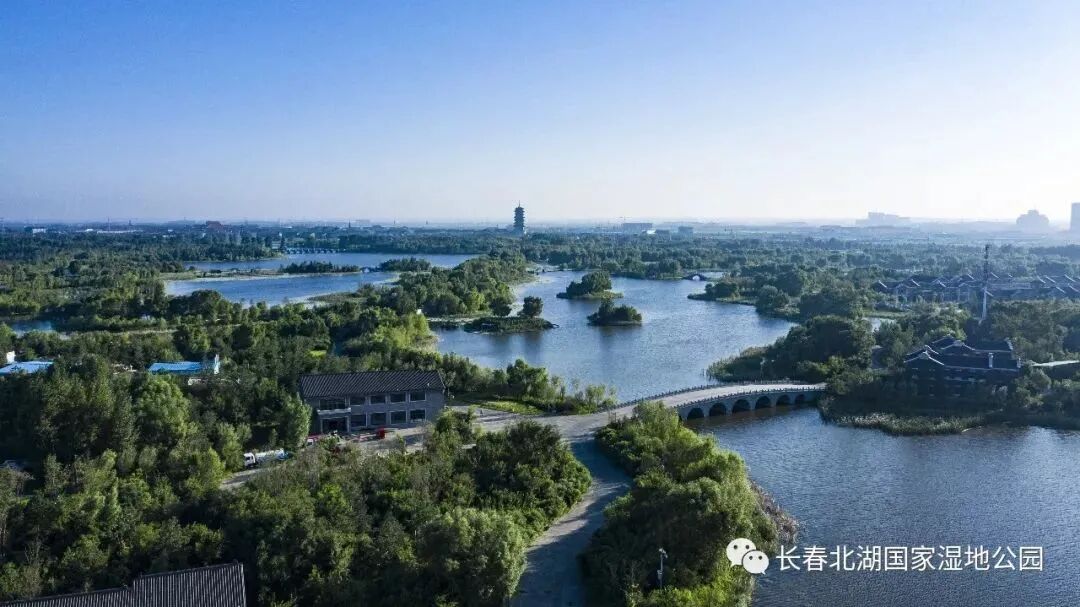 一期对眼睛很友好的推送!解锁长春"薄荷曼波"→