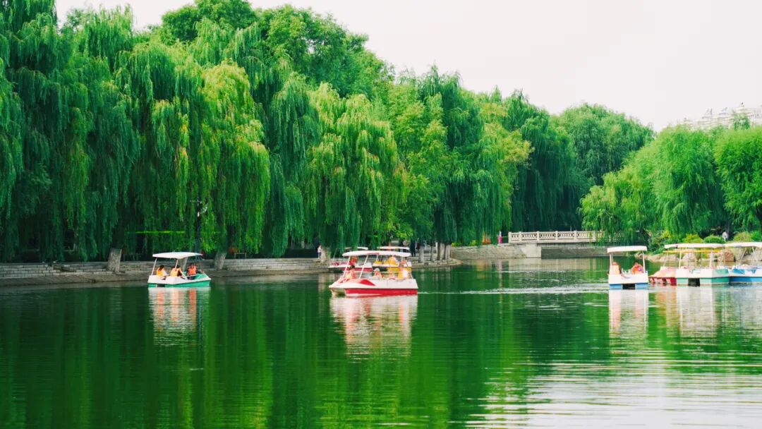 相机afc怎么调九月怎么玩儿？带好相机，这样过超快乐！_https://www.jmylbn.com_新闻资讯_第4张