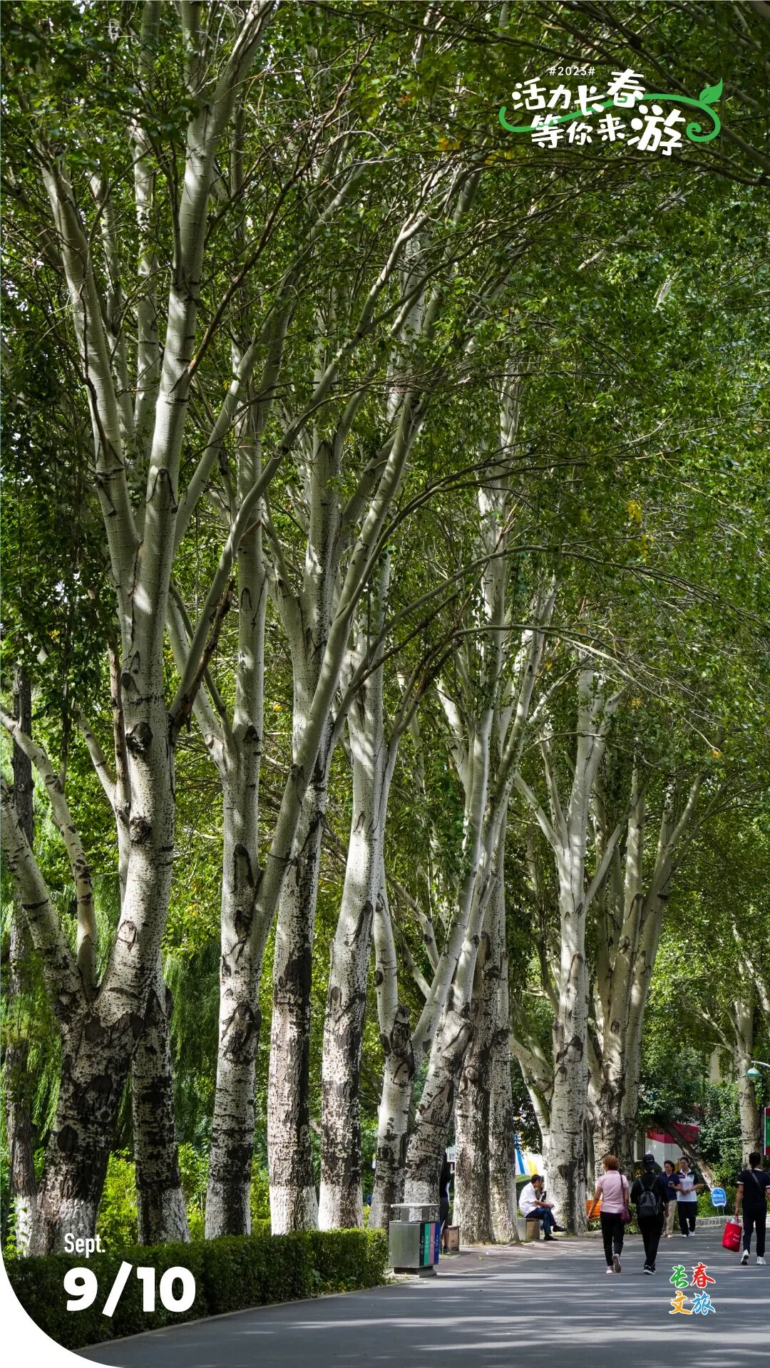 相机afc怎么调九月怎么玩儿？带好相机，这样过超快乐！_https://www.jmylbn.com_新闻资讯_第3张