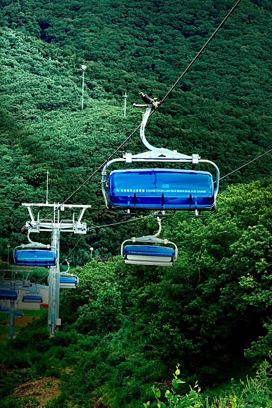 网红打卡地|莲花山巴图鲁乐园