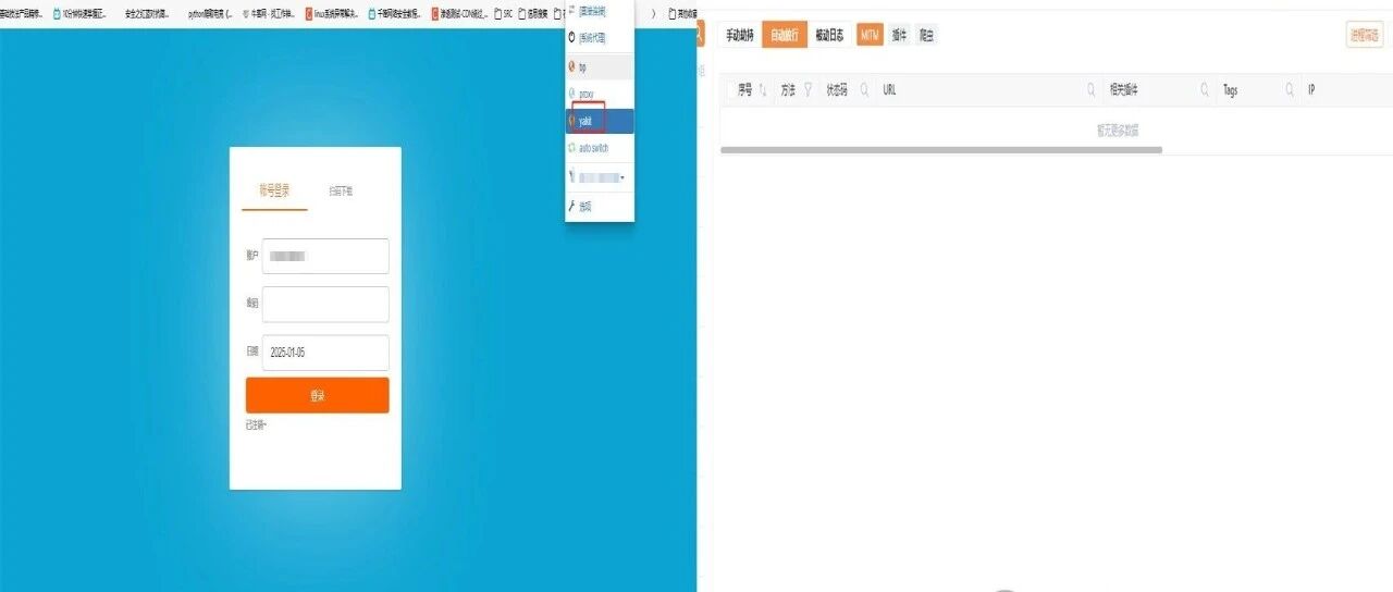 Example Image