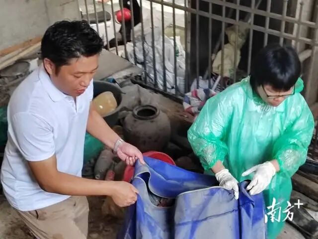 禅城开展爱国卫生运动，清理孳生地等。禅城供图