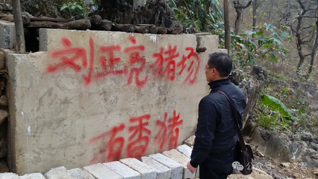 国礼牛在广西背后的故事