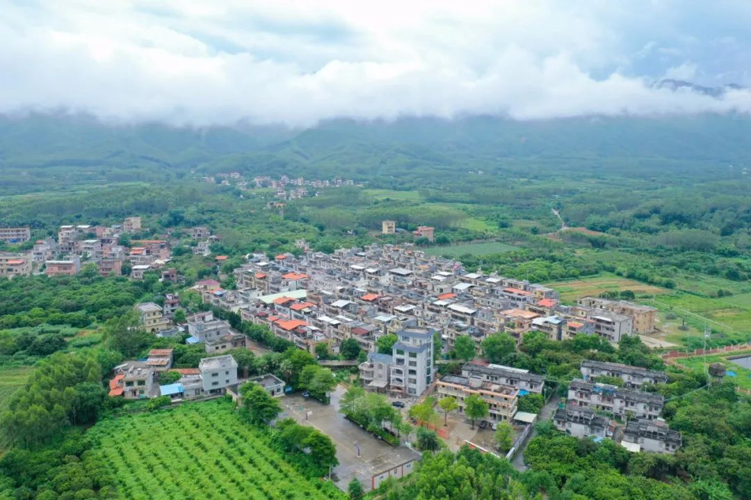 近年来,博罗县杨侨镇以实施乡村振兴战略为引领,扎实推进美丽乡村建设