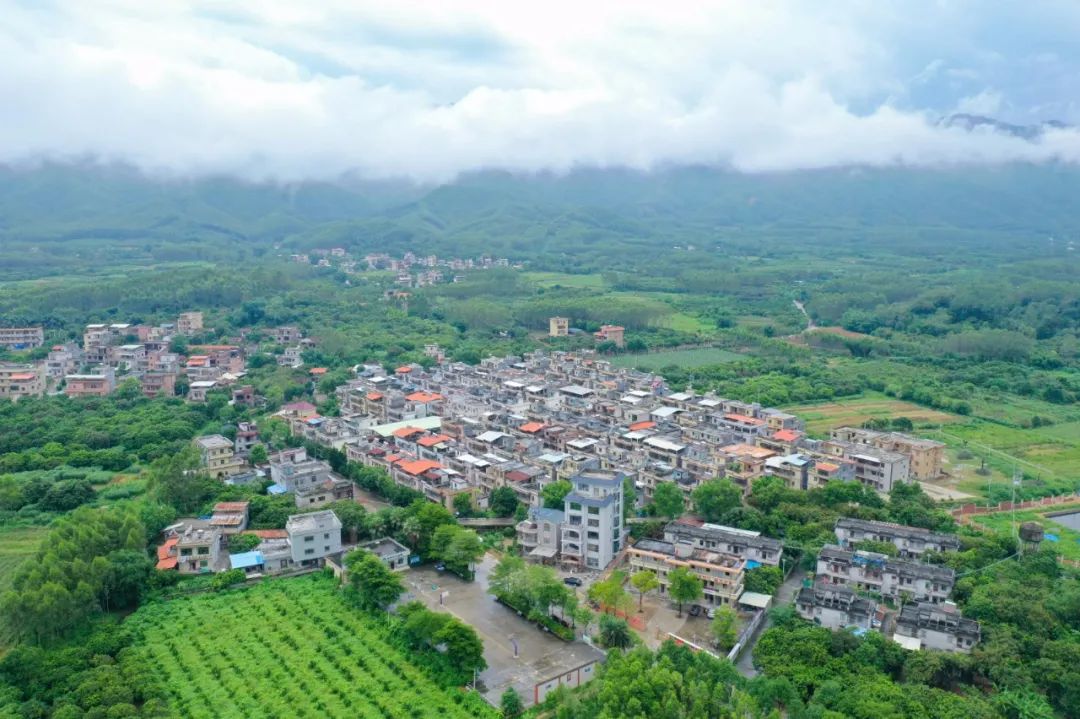 綠水青山美如畫博羅楊僑推進鄉村振興戰略建設美麗鄉村