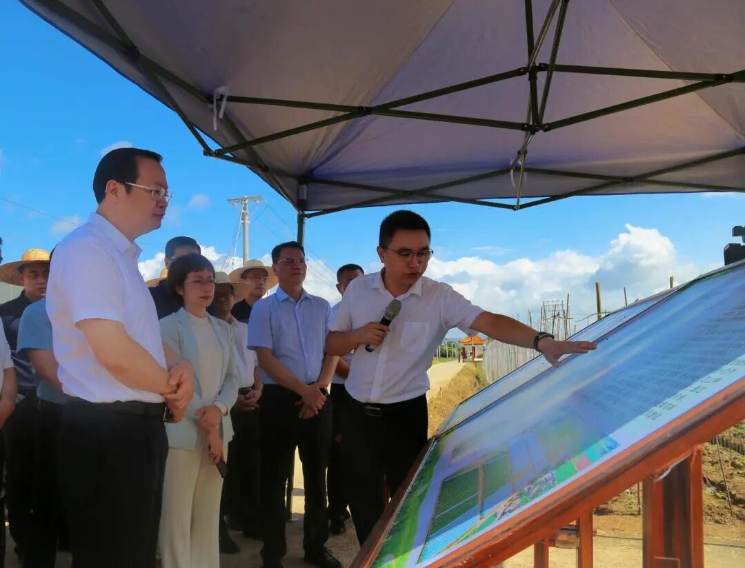 市政府副市长,秘书长陈亮同志,市自然资源局主要负责同志和分管负责