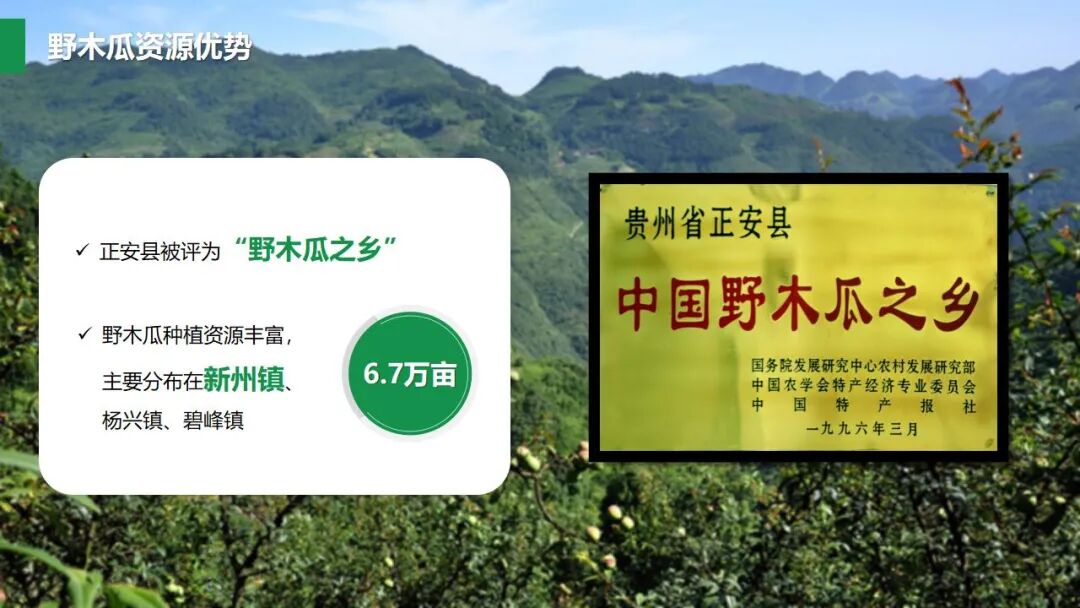 遵义市正安县野木瓜深加工项目