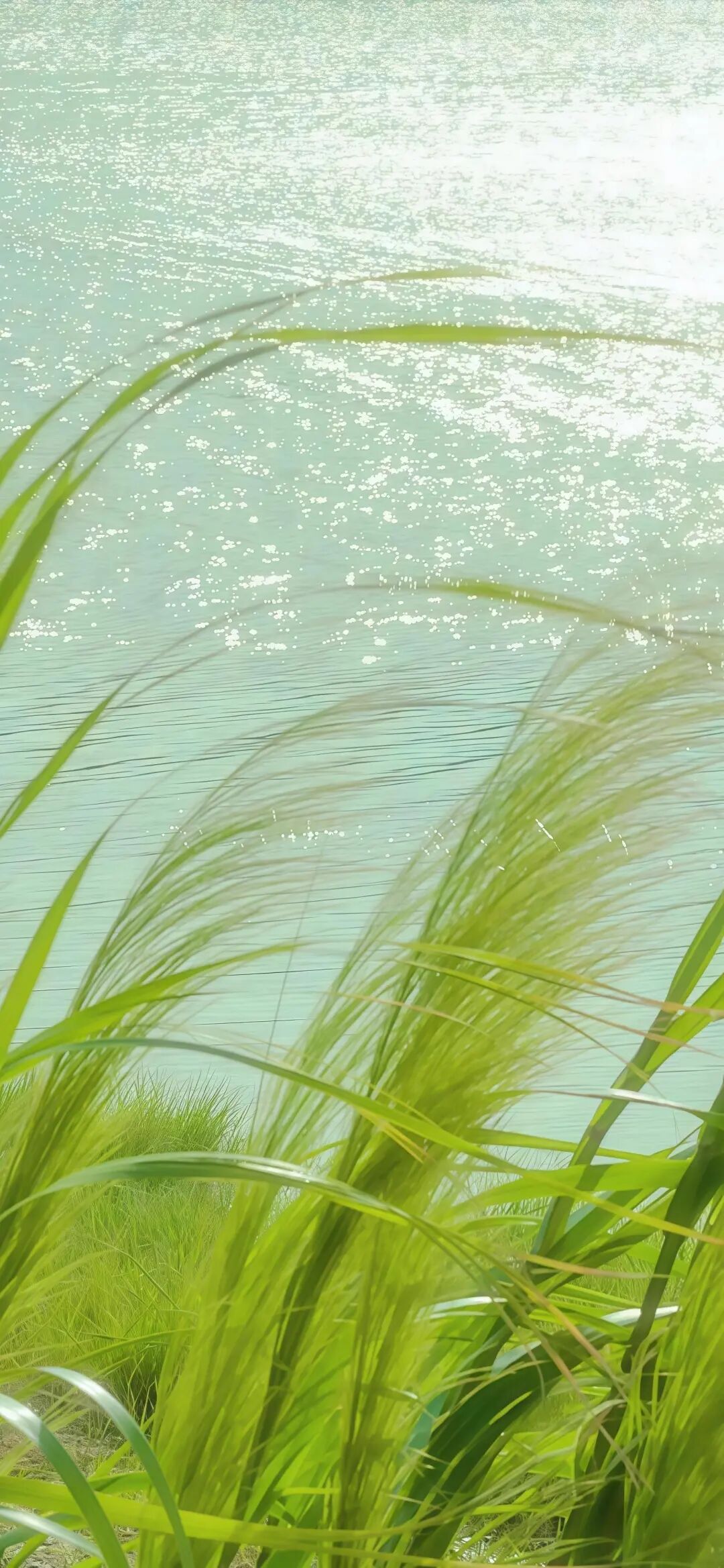 小头像 壁纸