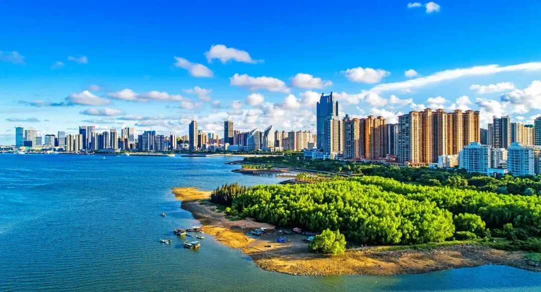 爱护国宝红树林看湛江如何书写生态保护新篇