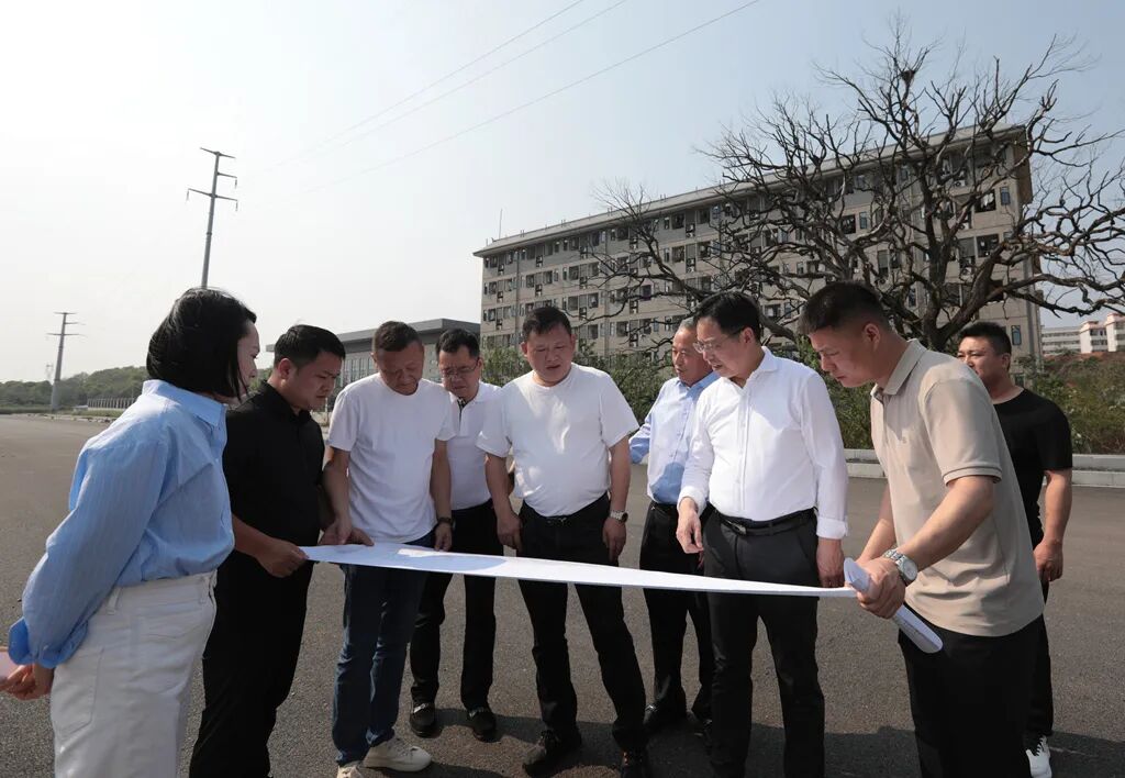 衡阳高新控股集团调研奇峰路(幼专校园段)建设