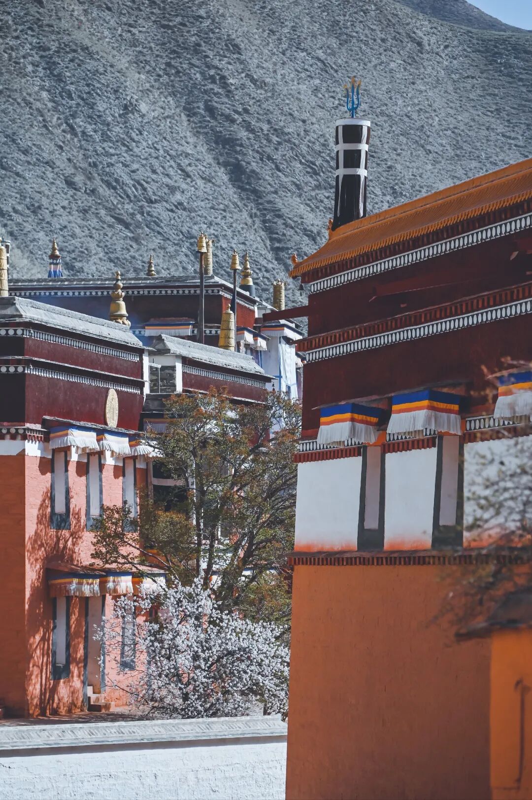 格鲁派六大寺院之一,甘南拉卜楞寺