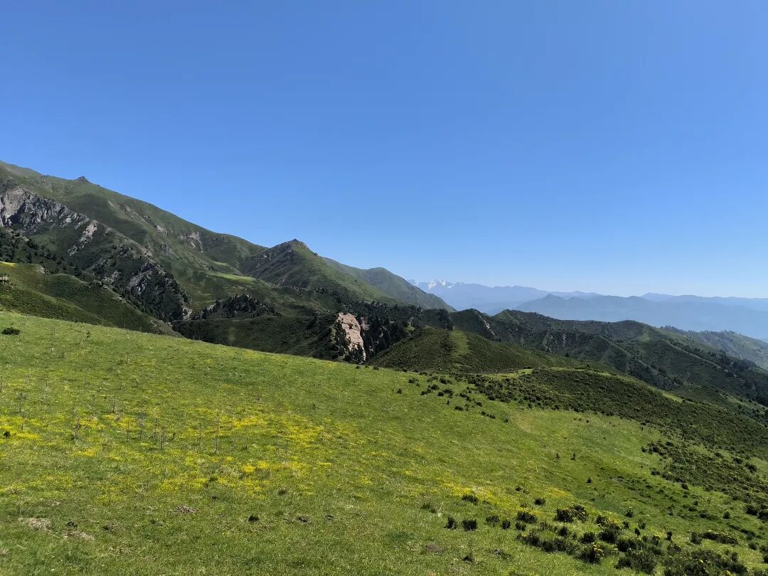 牛心山,"众山之神"阿咪东索