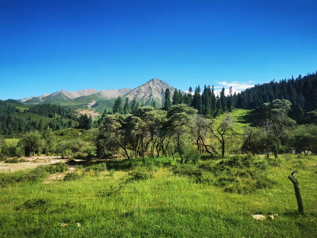 牛心山,"众山之神"阿咪东索