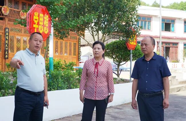 杨琼到江古镇调研近期重点工作