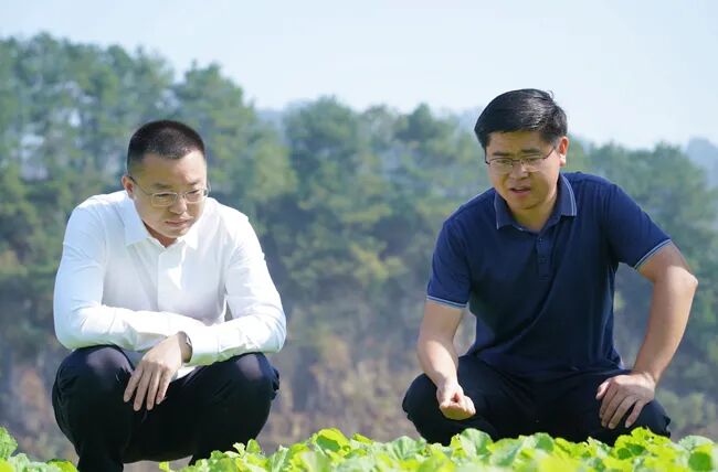 当前位置:>首页>/新闻>/镇远政务>/正文>杨仕根一