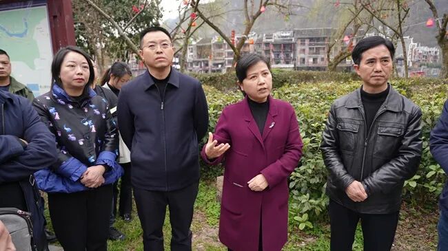 杨琼率队开展13阳河巡河古城风貌管控调研工作
