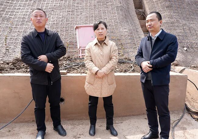 杨琼一行调研生态环境保护工作