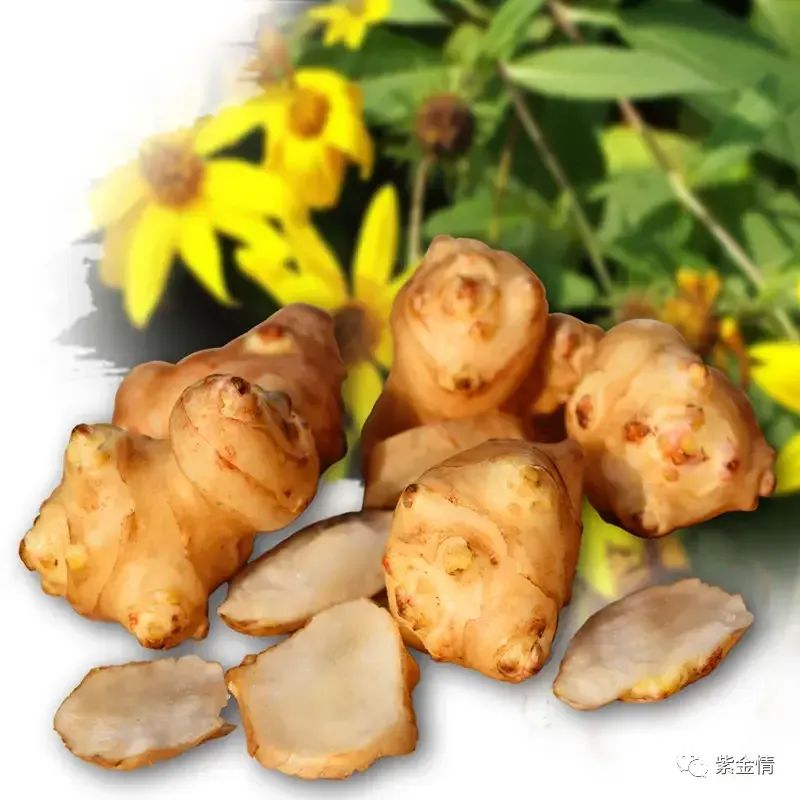 药食同源话洋姜